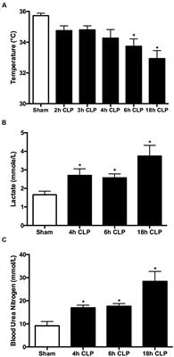 Rolipram Improves Outcome in a Rat Model of Infant Sepsis-Induced Cardiorenal Syndrome